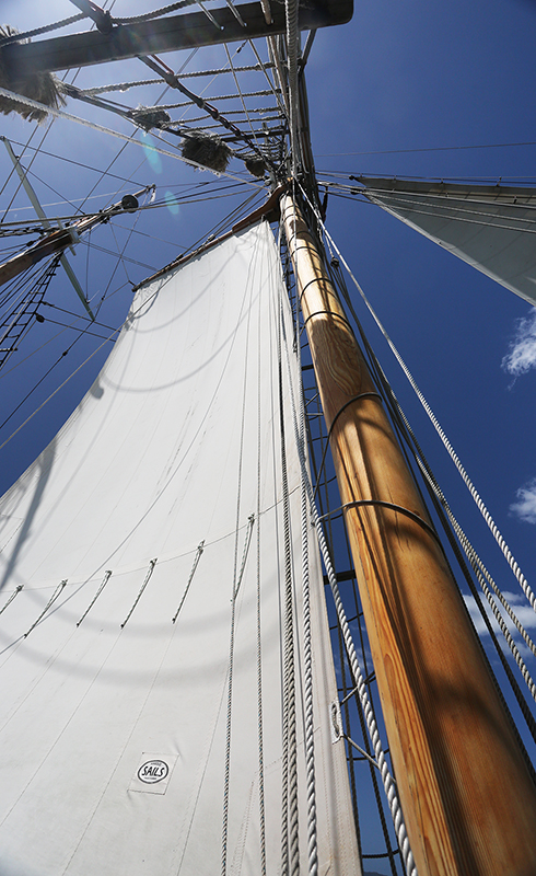 Sail on the R Tucker Thompson, Bay of Islands, NZ